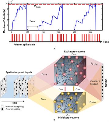 Analysis of Liquid Ensembles for Enhancing the Performance and Accuracy of Liquid State Machines